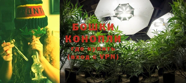 каннабис Аркадак