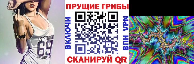 kraken вход  Куса  Псилоцибиновые грибы Psilocybine cubensis 